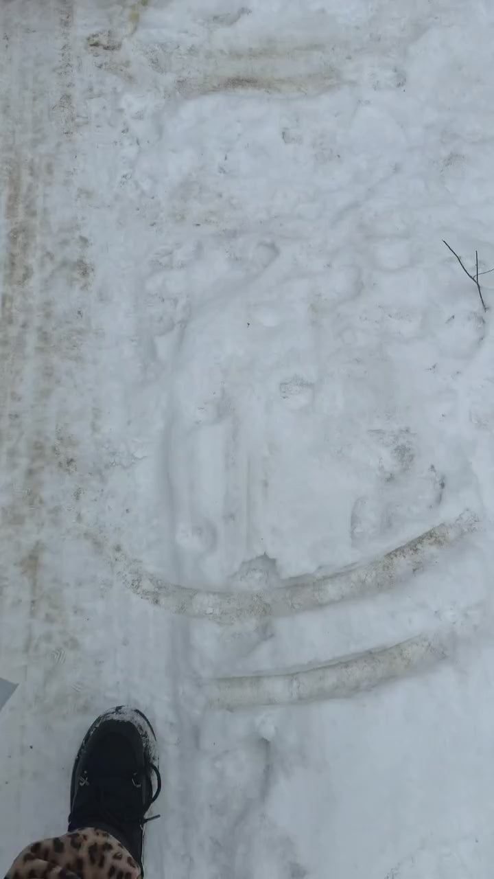 Załaduj wideo: 